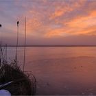 *Wintermorgen am Hopfensee*