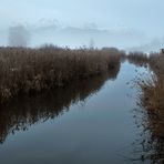 *Wintermorgen am Hopfensee II*