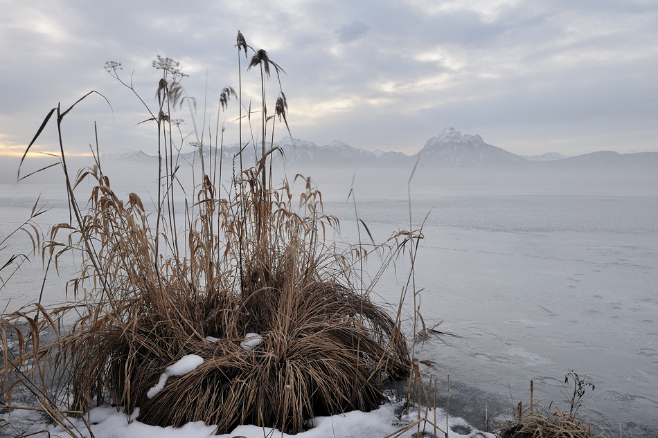 *Wintermorgen am Hopfensee III*