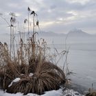 *Wintermorgen am Hopfensee III*