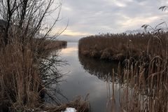 *Wintermorgen am Hopfensee IV*