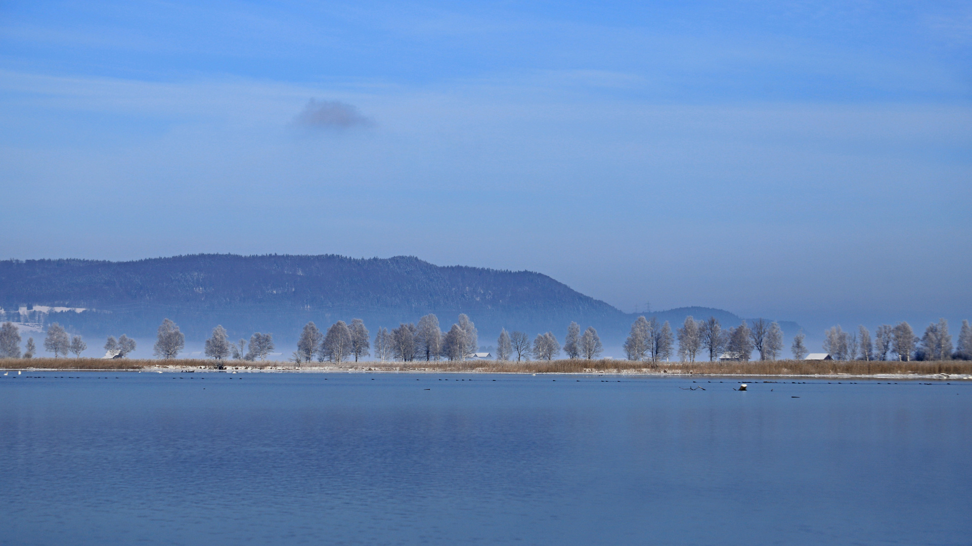 Wintermorgen am Kochelsee