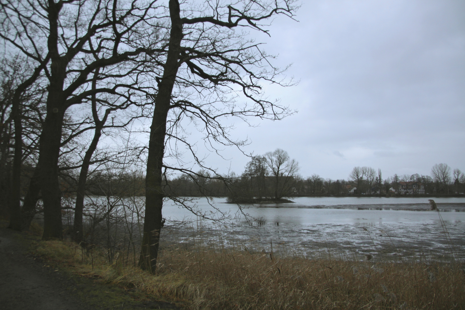 Wintermorgen am Kreuzteich