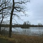 Wintermorgen am Kreuzteich