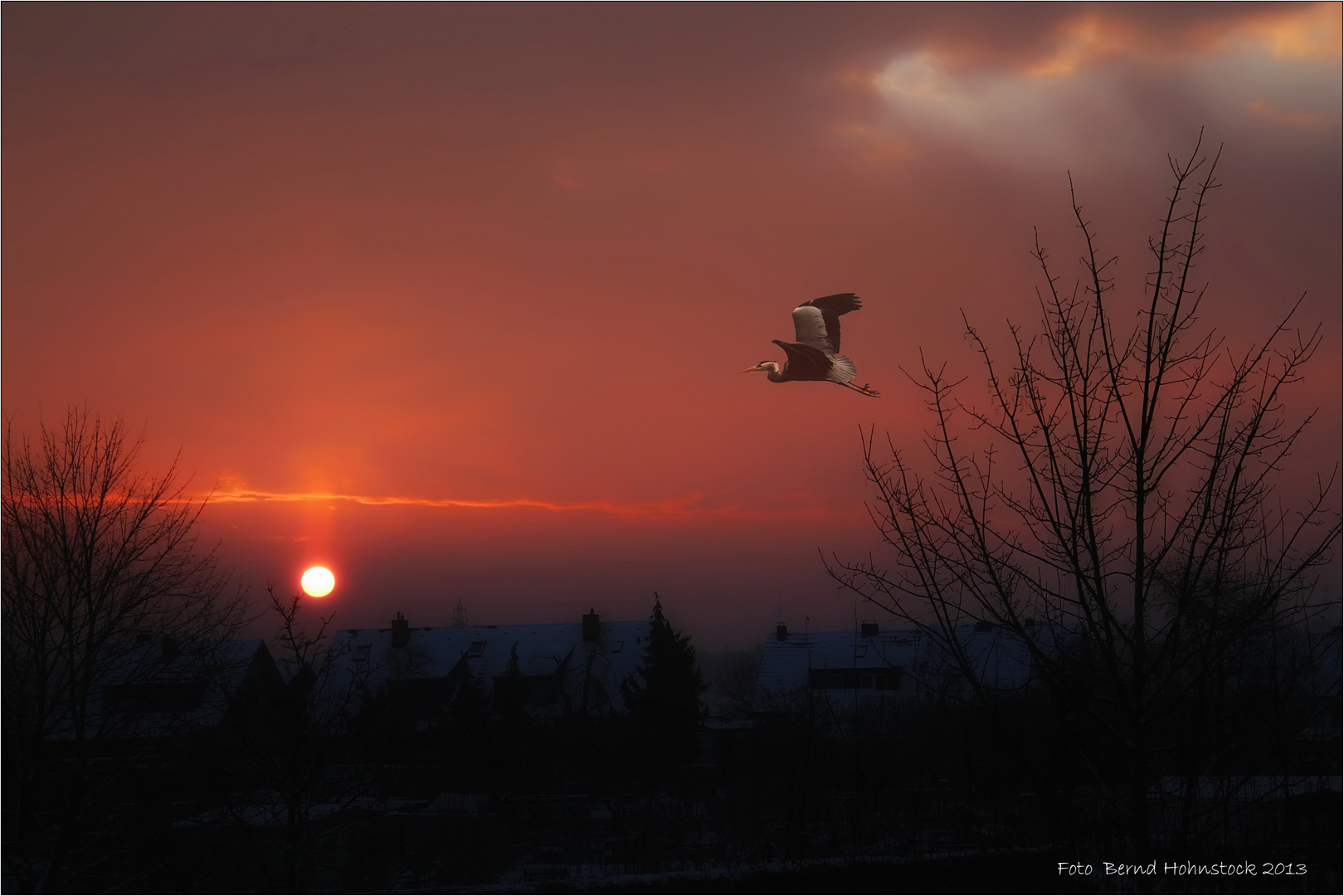 Wintermorgen ....... am linken Niederrhein