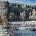 Wintermorgen am Mühlenteich