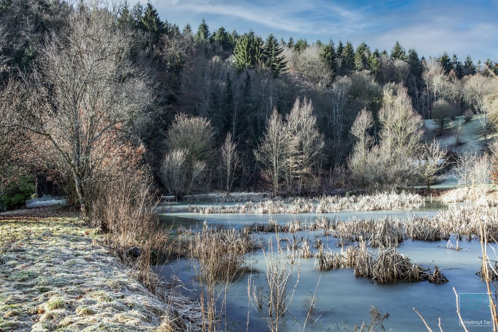 Wintermorgen am Mühlenteich