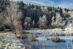 Wintermorgen am Mühlenteich