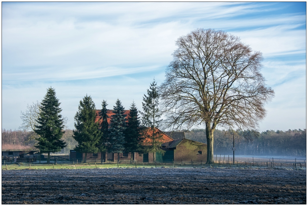 Wintermorgen am Niederrhein