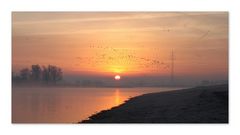 " Wintermorgen am Reeser Rhein "