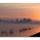 " Wintermorgen am Reeser Rhein - 2 - "