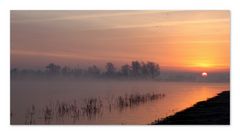 " Wintermorgen am Reeser Rhein - 2 - "