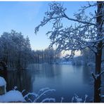 Wintermorgen am Reitersee