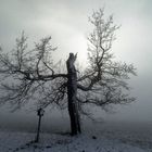 Wintermorgen am Rennsteig