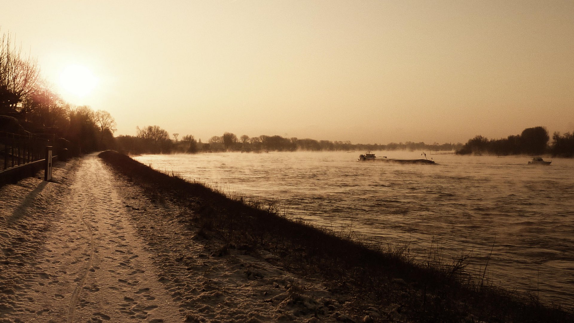 Wintermorgen am Rheinufer