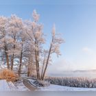 Wintermorgen am Ruppiner See