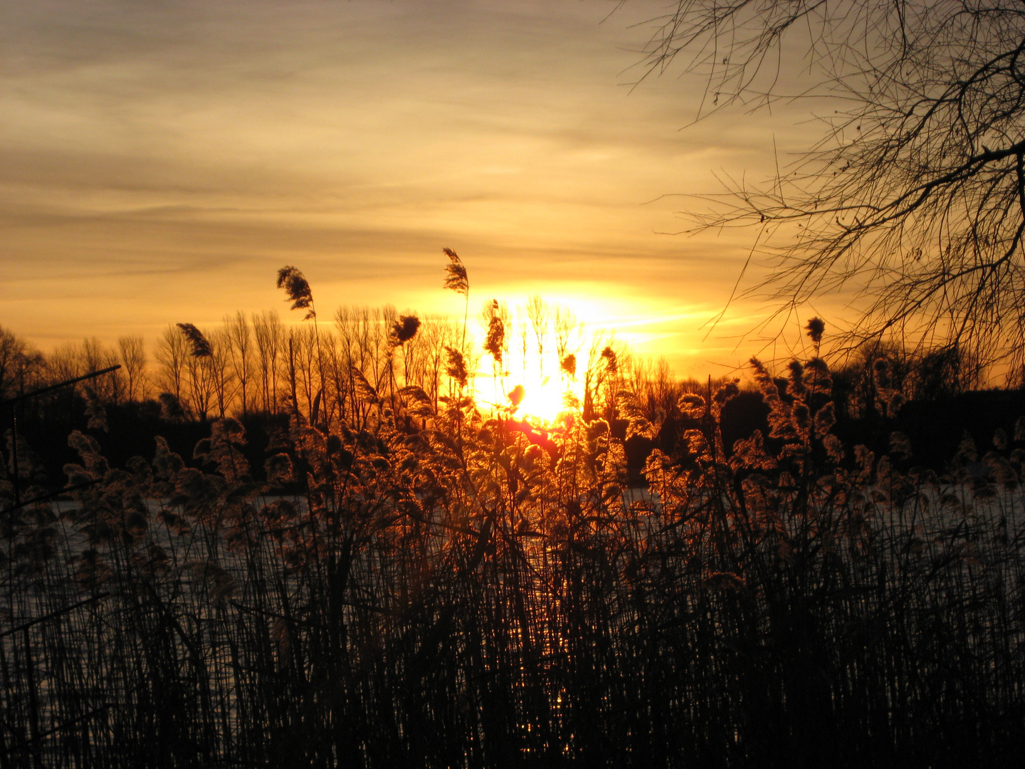 Wintermorgen am Schaalsee