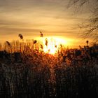 Wintermorgen am Schaalsee