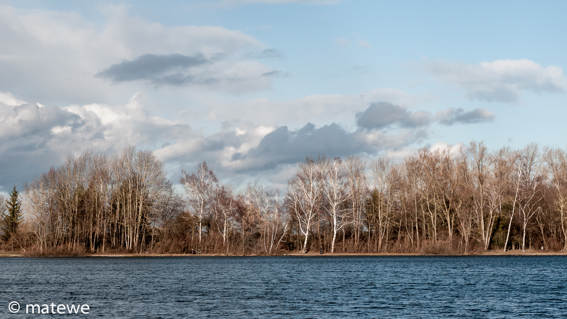 Wintermorgen am See