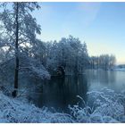 Wintermorgen am See