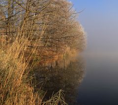 Wintermorgen am See