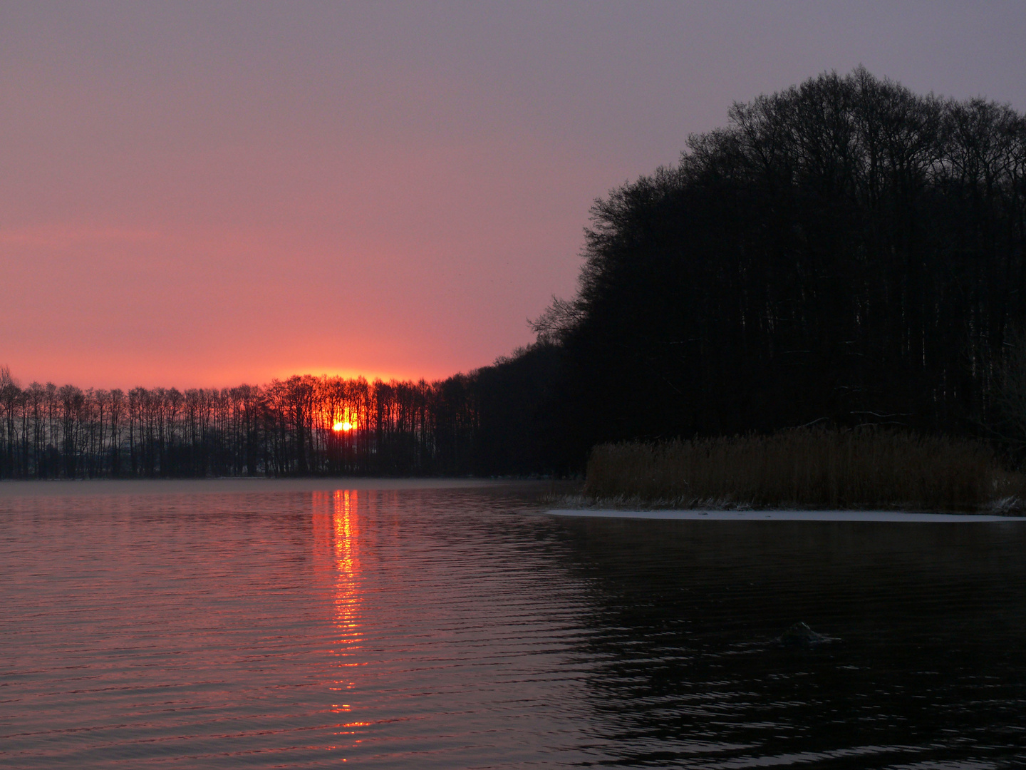 Wintermorgen am See