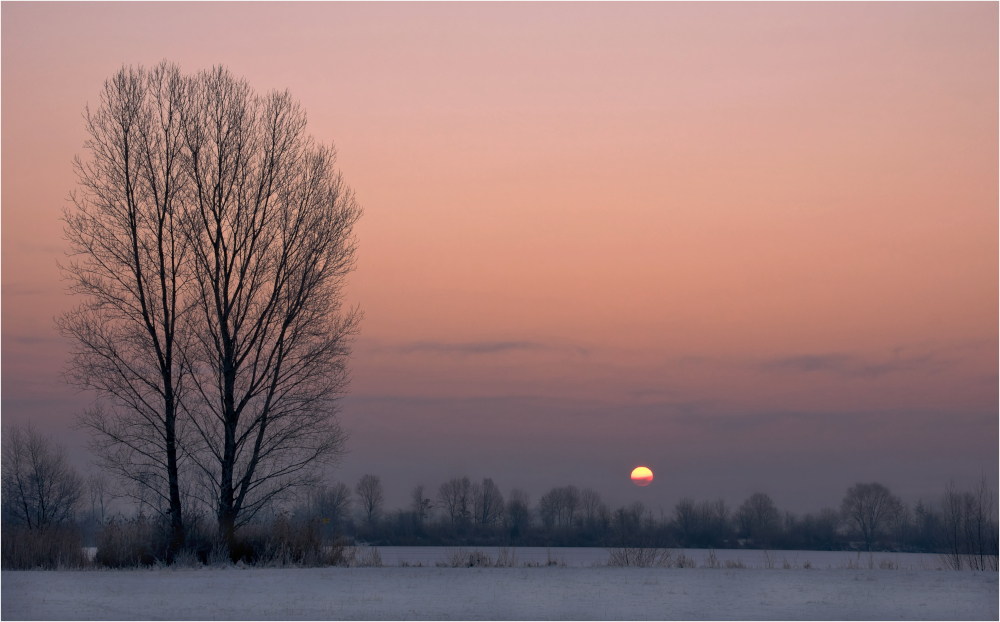 Wintermorgen am See