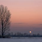 Wintermorgen am See