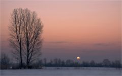 Wintermorgen am See