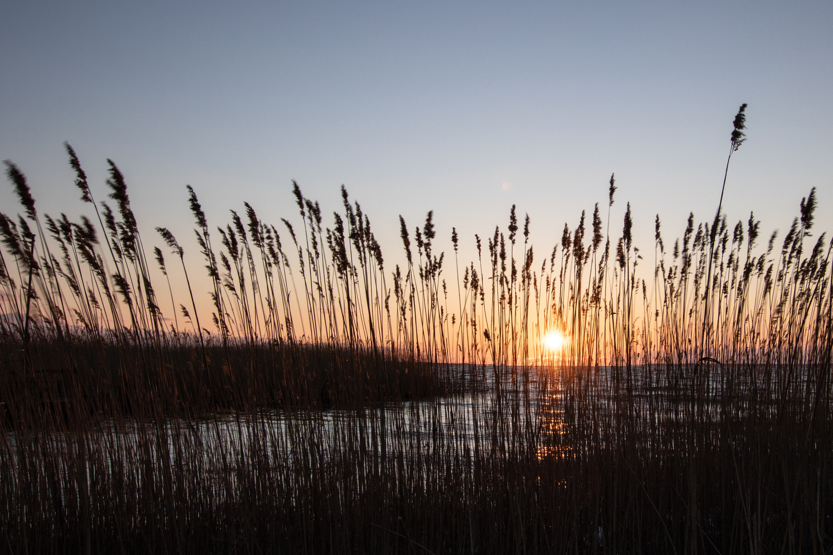 Wintermorgen am See