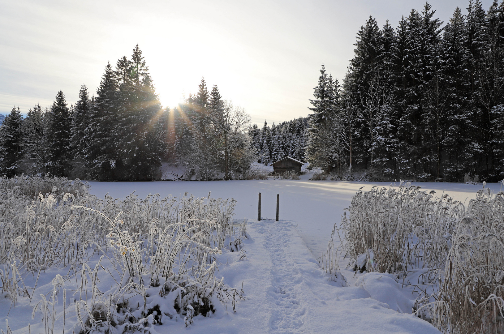 Wintermorgen am See