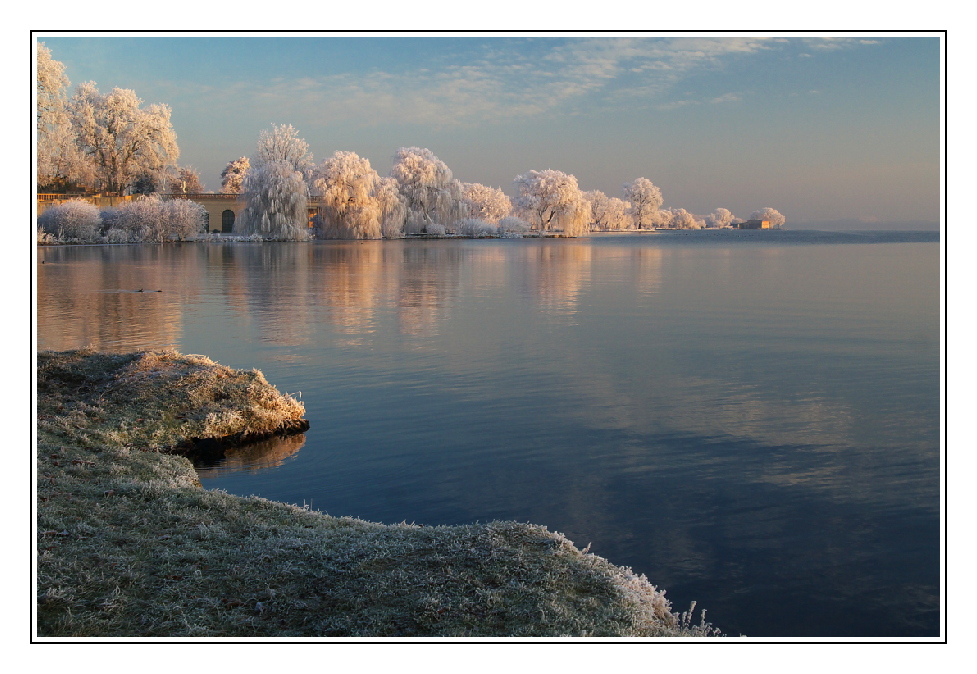 Wintermorgen am See