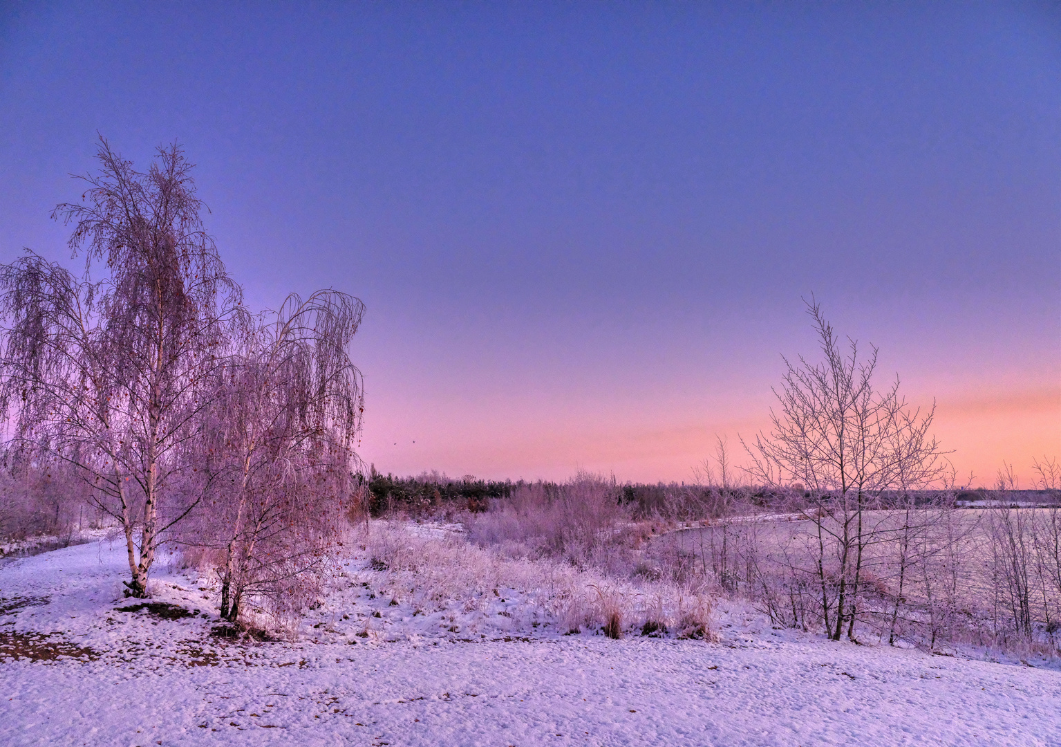 Wintermorgen am See