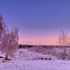 Wintermorgen am See