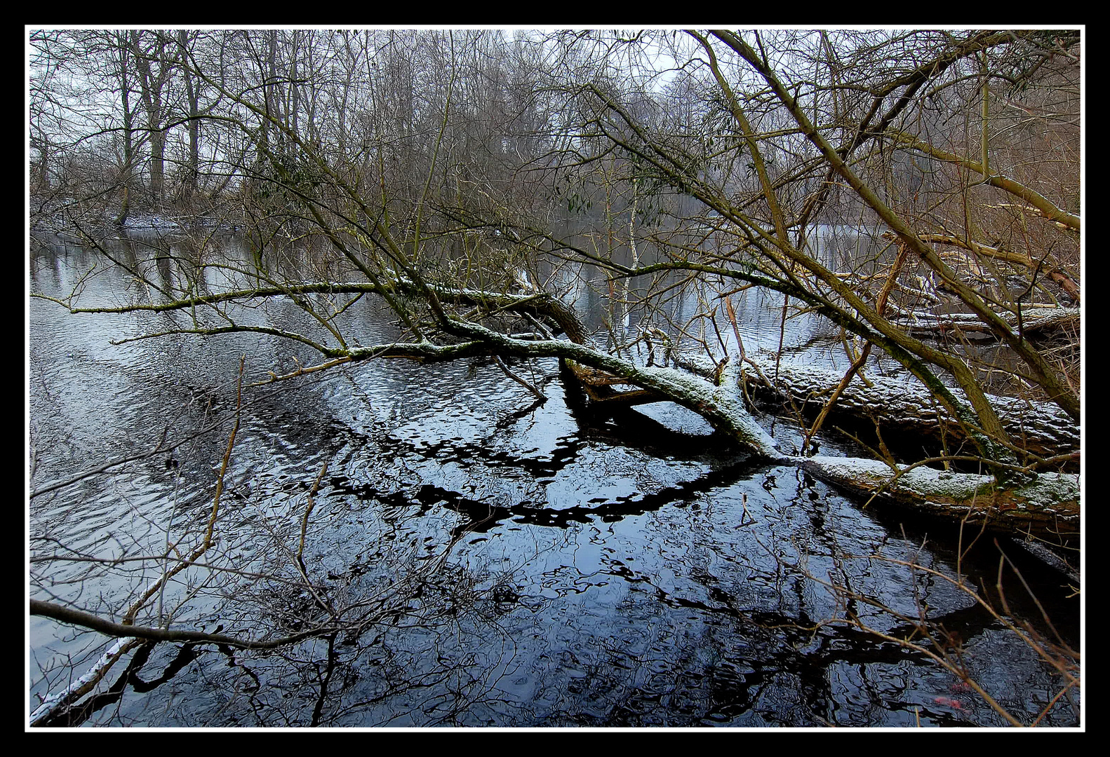 Wintermorgen am See