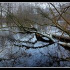 Wintermorgen am See