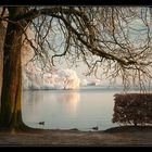 Wintermorgen Am See III