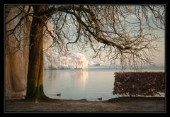 Wintermorgen Am See III