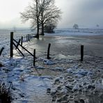 Wintermorgen am Teich