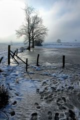 Wintermorgen am Teich