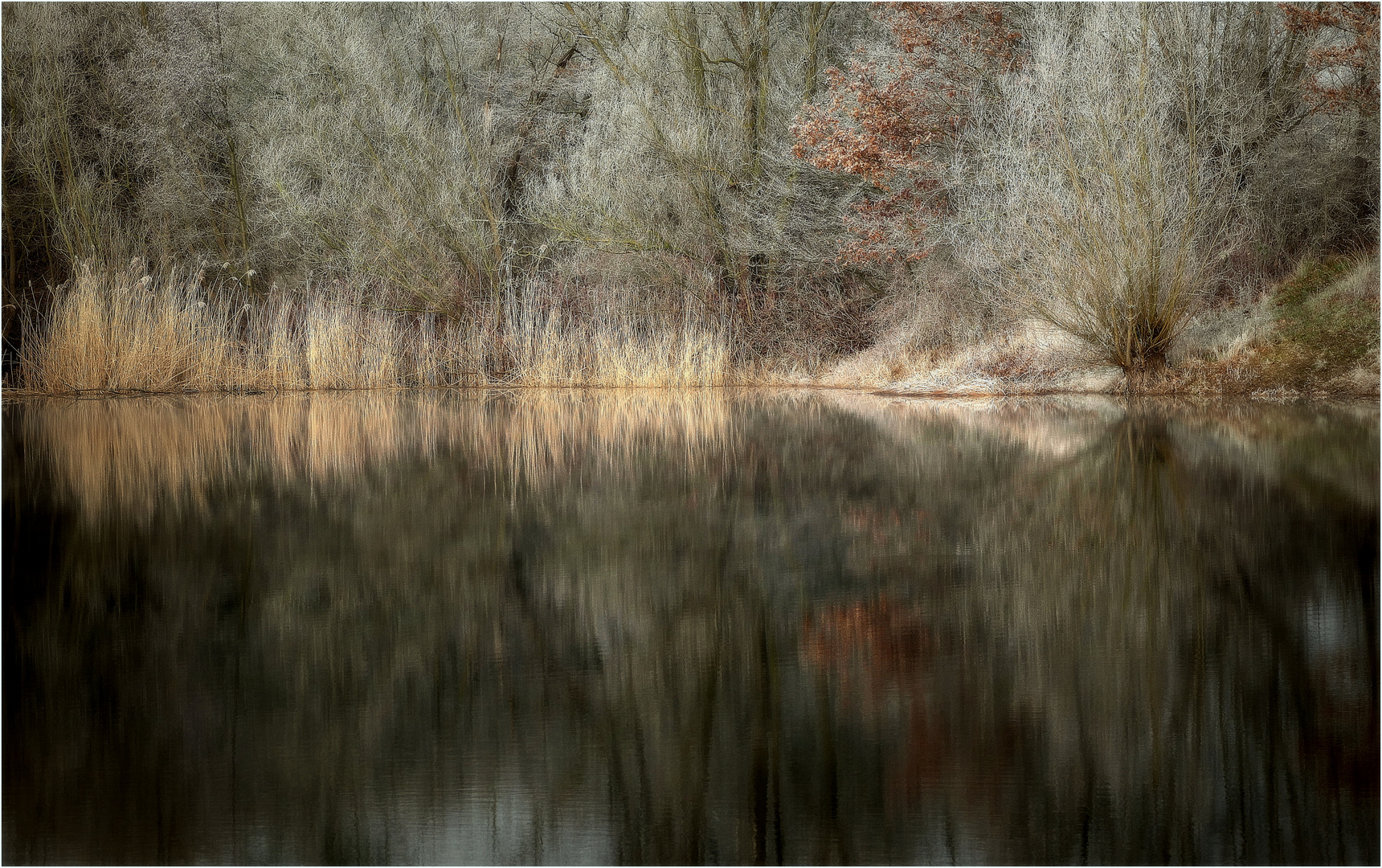 Wintermorgen am Teich