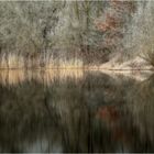 Wintermorgen am Teich