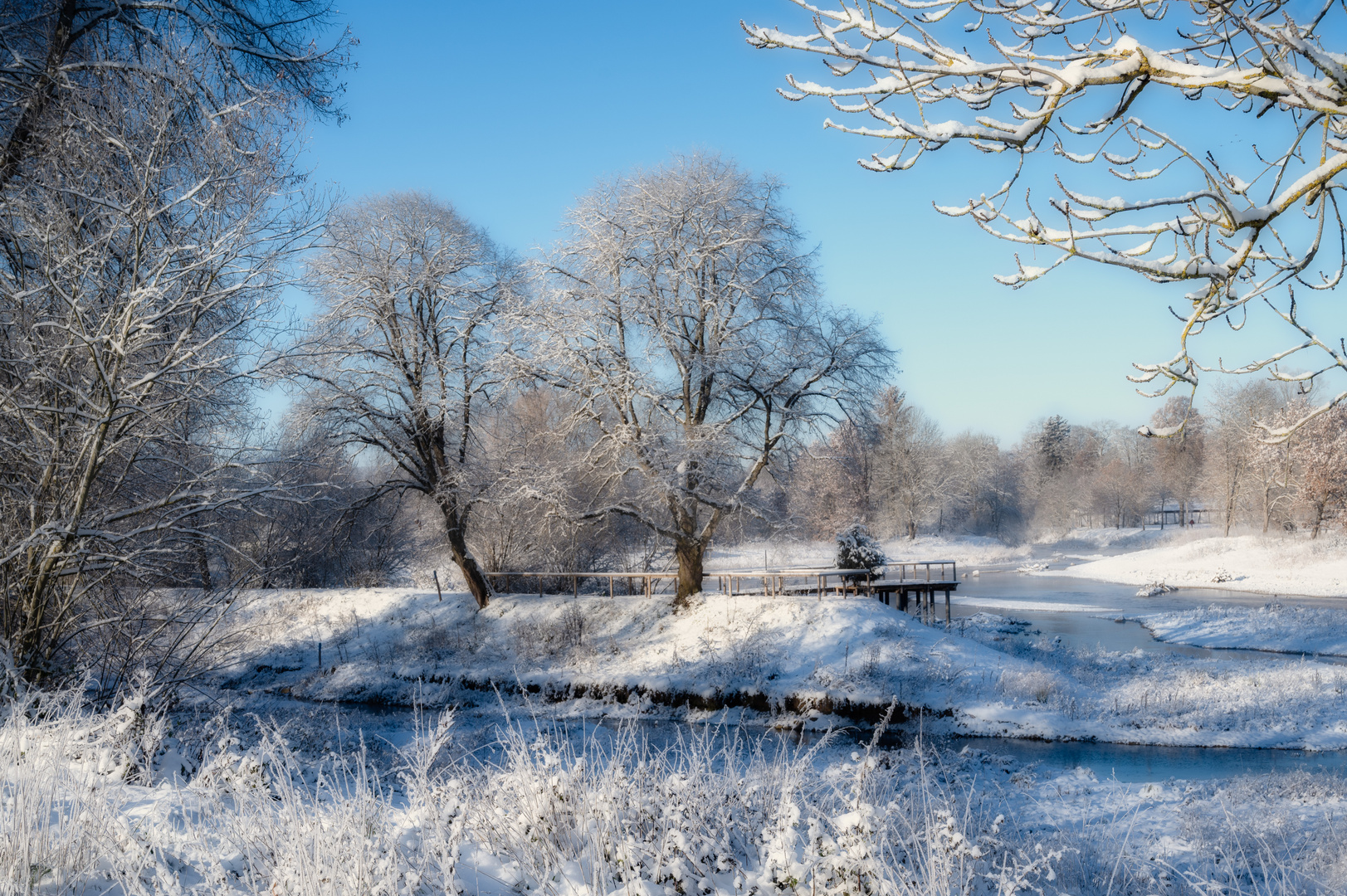 Wintermorgen am Ursprung der Donau