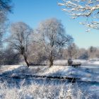 Wintermorgen am Ursprung der Donau