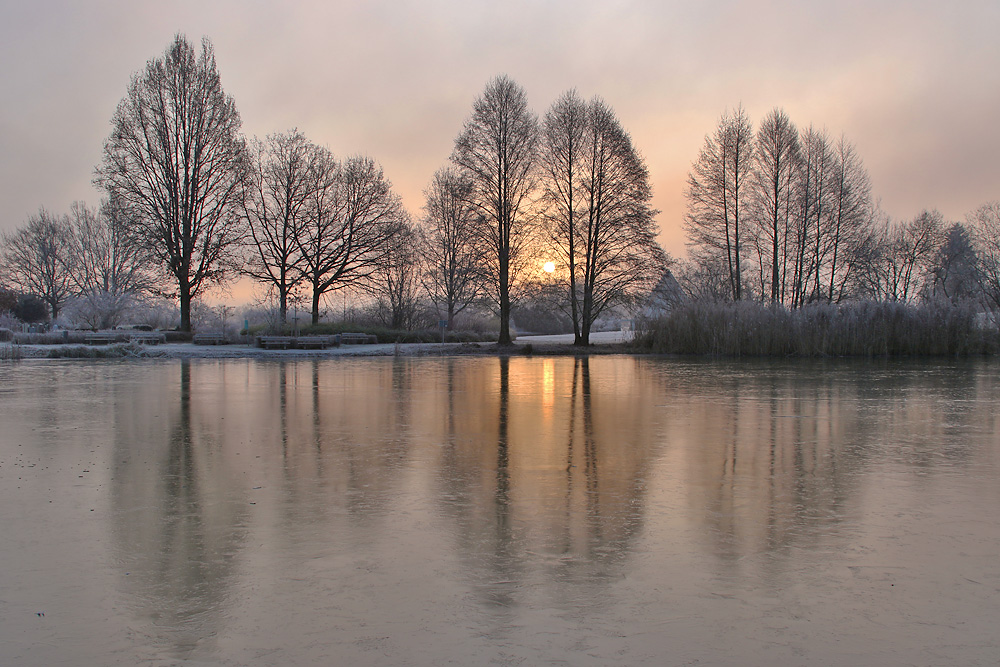 Wintermorgen am Weiher