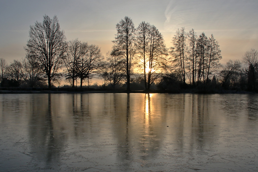 Wintermorgen am Weiher