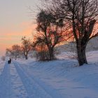 Wintermorgen (amanezca de invierno)