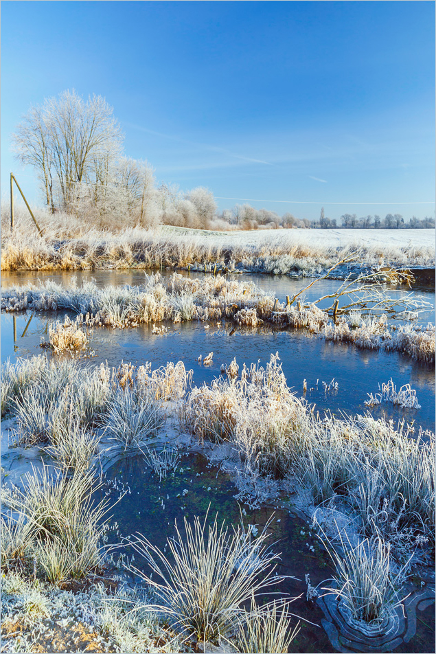 Wintermorgen an der Aa (2)