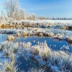 Wintermorgen an der Aa (2)