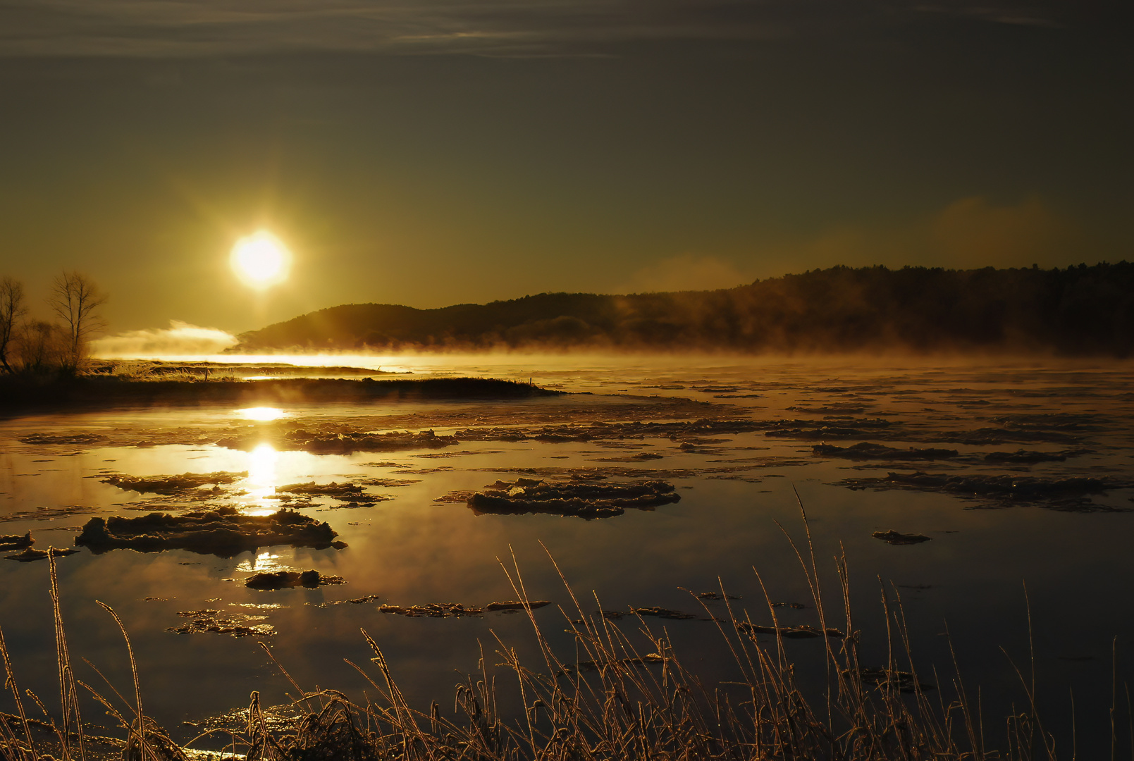 Wintermorgen an der Elbe 